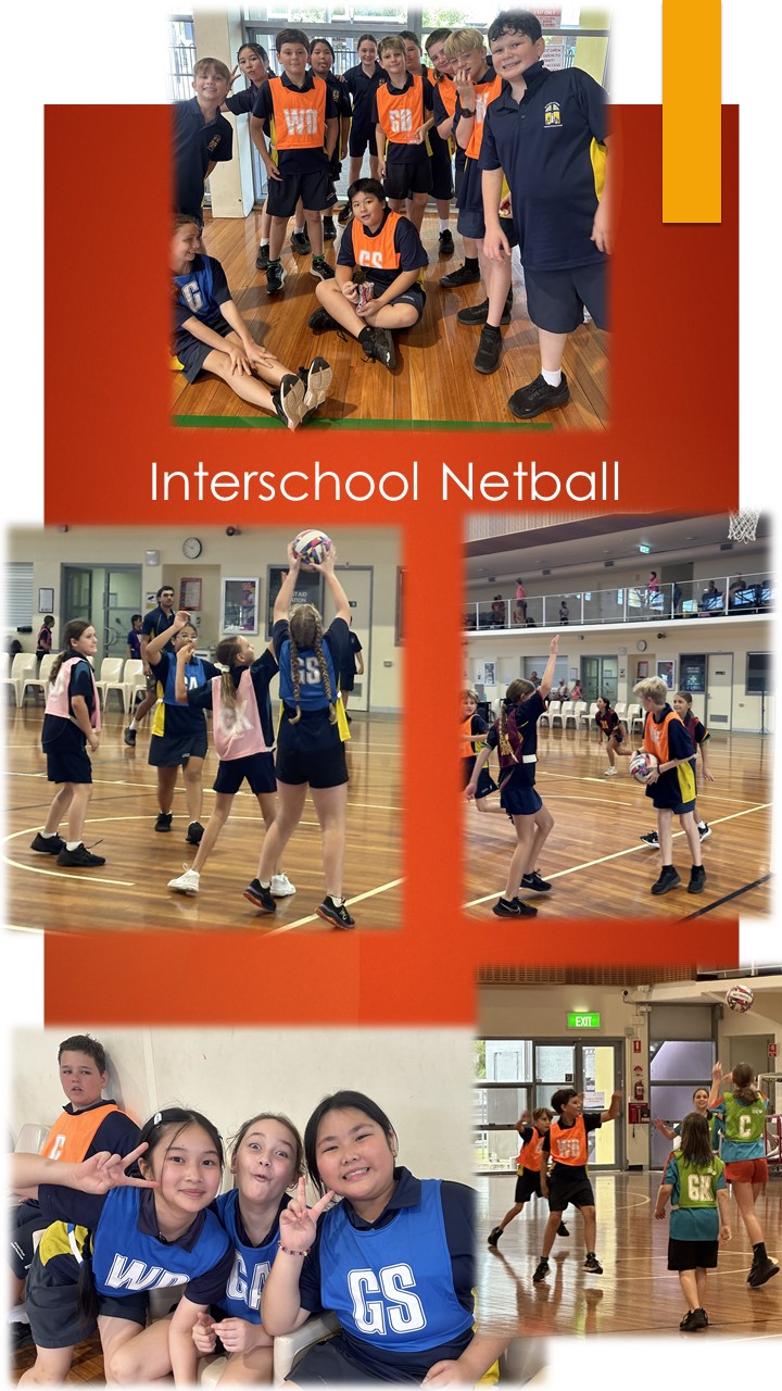 Interschool Netball